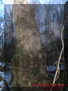 chimneymist.jpg (44863 bytes)