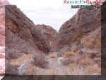 2canyon2.jpg (131810 bytes)