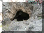 2cave.jpg (145733 bytes)