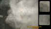 logflumeectoplasm.jpg (20983 bytes)