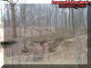 ravine.jpg (61065 bytes)