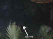 palmmist.jpg (26473 bytes)