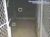 kennelorbs.jpg (48281 bytes)