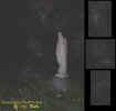 marystatueectoplasmfaces.jpg (28879 bytes)