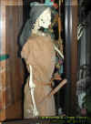 pirate.jpg (37235 bytes)