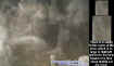 oddentity.jpg (45748 bytes)