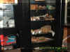 shelves.jpg (28586 bytes)