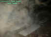 2005upperburialsecto.jpg (27976 bytes)
