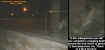 treeectoplasm.jpg (36488 bytes)