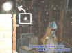blurryorb.jpg (30466 bytes)