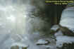 0canyonmist.jpg (26684 bytes)