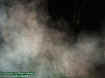tolomatoectoplasm3.jpg (30779 bytes)