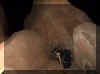 mousestanklordrickflashlight.jpg (23763 bytes)