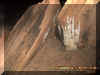 mousestankrock5.jpg (47629 bytes)
