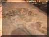 petroglyphs5.jpg (50999 bytes)